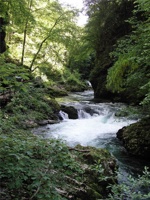 17.6.2004-15-23-39.jpg