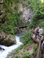 17.6.2004-15-25-11.jpg