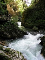 17.6.2004-15-26-07.jpg