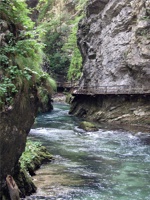 17.6.2004-15-30-27.jpg