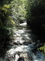 17.6.2004-15-47-23.jpg