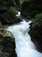 17.6.2004-16-12-49.jpg