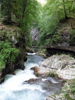 17.6.2004-16-14-23.jpg