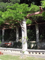 18.6.2004-15-24-40.jpg