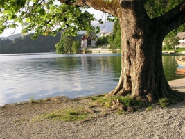 18.6.2004-18-41-02.jpg