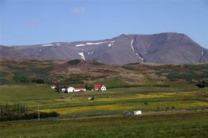VD-426.jpg