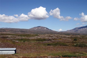 VD-443.jpg