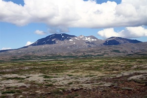 VD-489.jpg