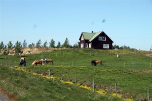 VD-630.jpg