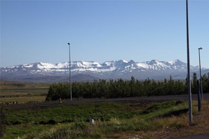 VD-803.jpg