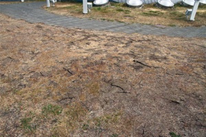 VE-273.jpg