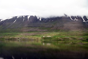 IMG_4860.jpg