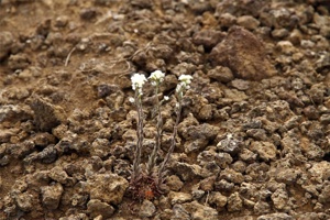 IMG_4912.jpg