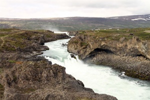 IMG_4942.jpg