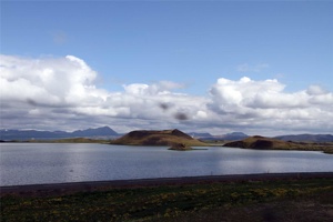 IMG_5056.jpg