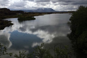 IMG_5181.jpg
