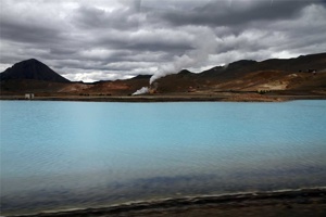 IMG_5307.jpg