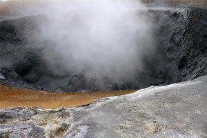 IMG_5358.jpg