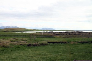 IMG_5534.jpg