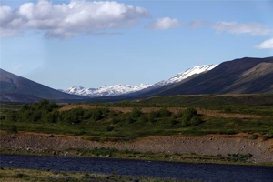 IMG_5569.jpg