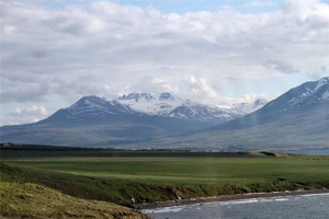 IMG_5583.jpg