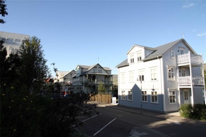 IMG_5604.jpg