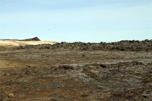 IMG_5774.jpg