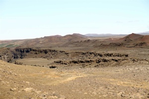 IMG_5947.jpg