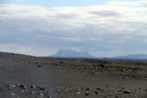 IMG_6100.jpg