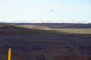 IMG_6167.jpg