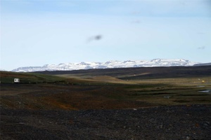 IMG_6168.jpg