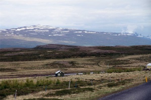 IMG_6227.jpg