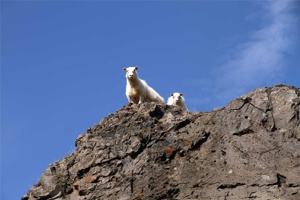 IMG_6380.jpg