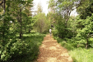 IMG_6465.jpg