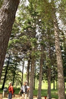IMG_6476.jpg