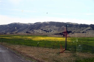 IMG_6626.jpg