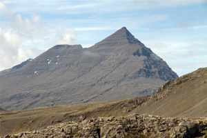 IMG_6672.jpg