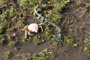IMG_6737.jpg