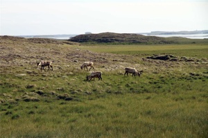 IMG_6770.jpg