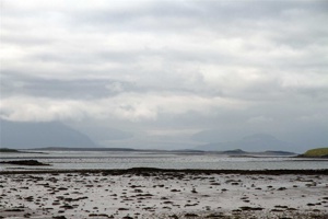 IMG_6789.jpg
