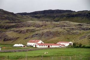 IMG_6854.jpg