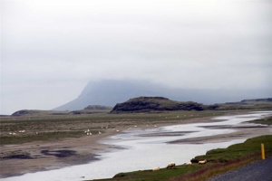 IMG_6867.jpg
