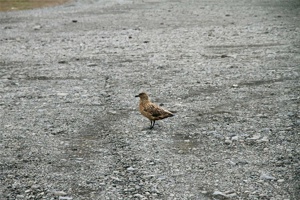 IMG_6903.jpg