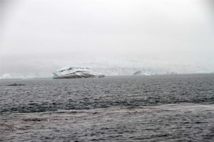 IMG_6954.jpg