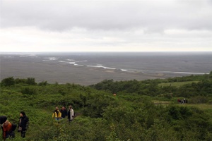 IMG_7178.jpg