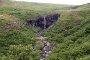 IMG_7185.jpg