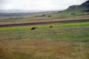 IMG_7290.jpg