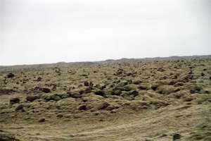 IMG_7334.jpg