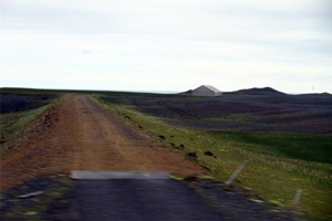 IMG_7367.jpg