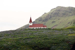 IMG_7382.jpg
